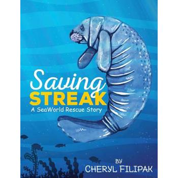 Saving Streak