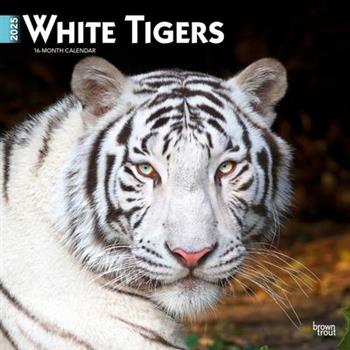 White Tigers 2025 12 X 24 Inch Monthly Square Wall Calendar Plastic-Free White Tigers 2025 12 X 24 Inch Monthly Square Wall Calendar Plastic-Free