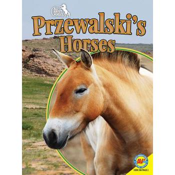 Przewalski’s Horses