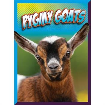 Pygmy Goats