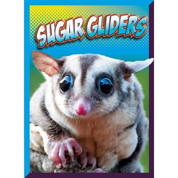 Sugar Gliders