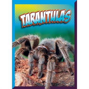 Tarantulas
