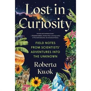 Lost in Curiosity