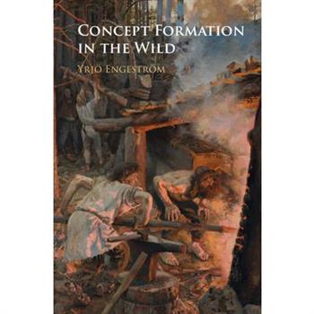 Concept Formation in the Wild