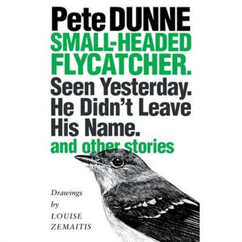 Small-Headed Flycatcher. Seen Yesterday. He Didn’t Leave His Name.