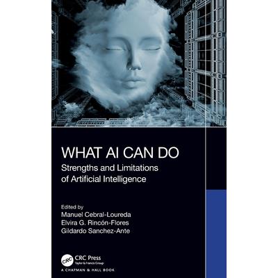 What AI Can Do