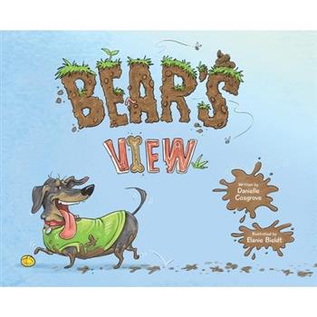 Bear’s View