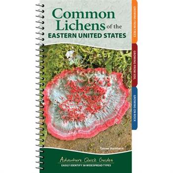 Common Lichens of the Eastern United States