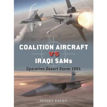 Coalition Aircraft Vs Iraqi Sams