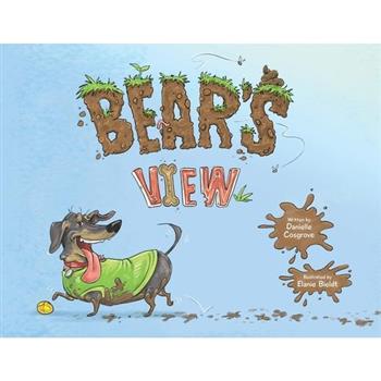 Bear’s View