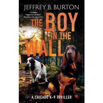 The Boy in the Wall