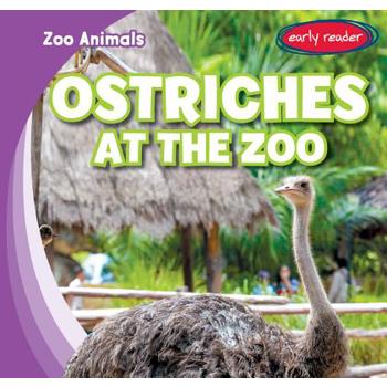 Ostriches at the Zoo