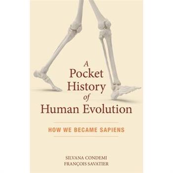 A Pocket History of Human Evolution