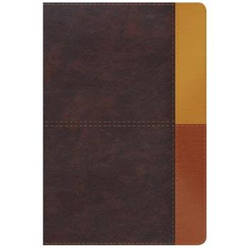 Rvr 1960 Biblia de Estudio Arcoiris, Cocoa/ Terracota S穩mil Piel