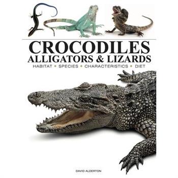 Crocodiles, Alligators & Lizards