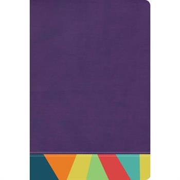 Rvr 1960 Biblia de Estudio Arcoiris, Morado/Multicolor