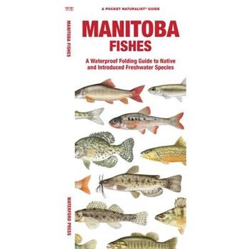 Manitoba Fishes
