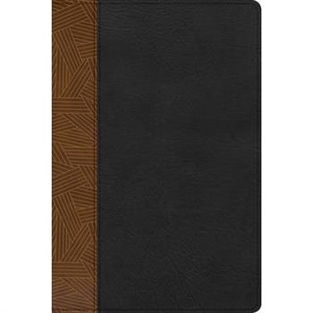 Rvr 1960 Biblia de Estudio Arcoiris, Tostado/Negro S穩mil Piel