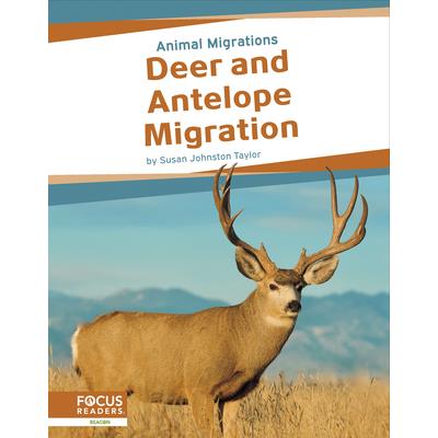 Deer and Antelope Migration