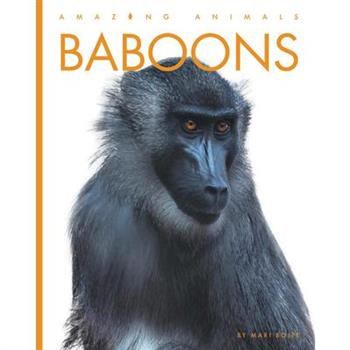 Baboons