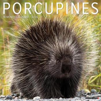Porcupines 12 X 12 Wall Calendar