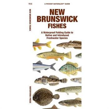 New Brunswick Fishes