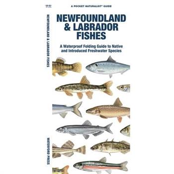 Newfoundland & Labrador Fishes