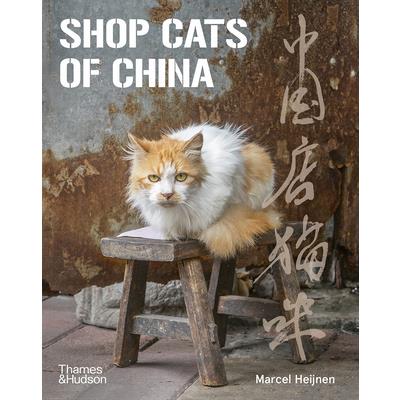 Shop Cats of China