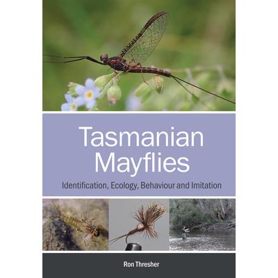 Tasmanian Mayflies