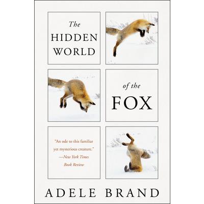 The Hidden World of the Fox