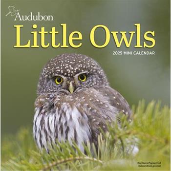Audubon Little Owls Mini Wall Calendar 2025