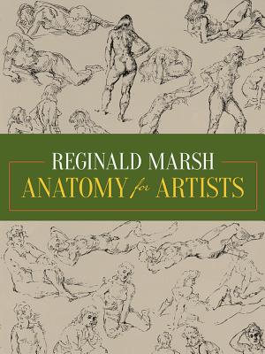 Anatomy for Artists