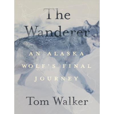 The Wanderer