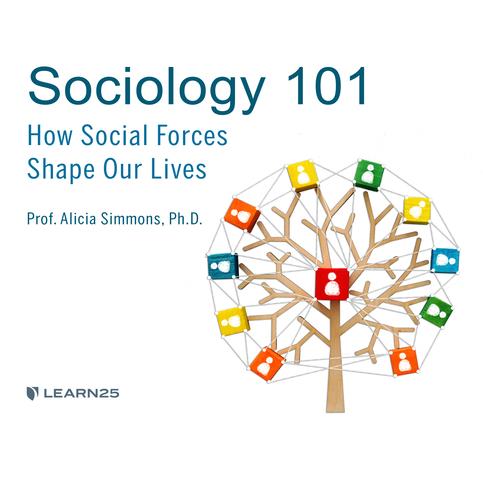 Sociology 101: How Social Forces Shape Our Lives