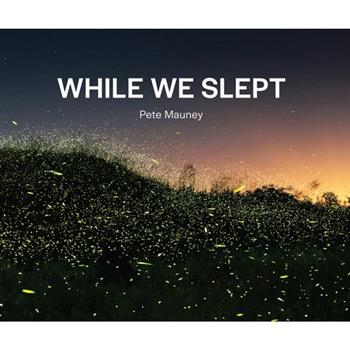 While We Slept