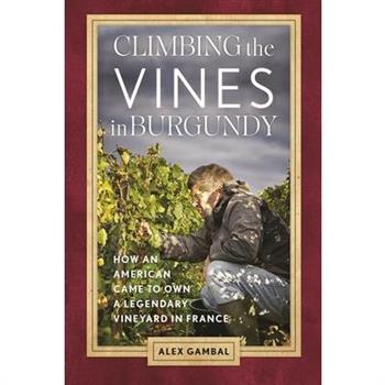Climbing the Vines in Burgundy