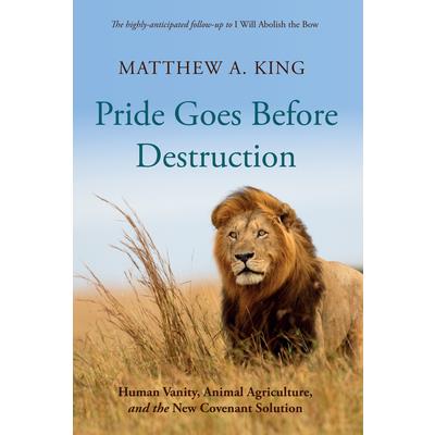 Pride Goes Before Destruction