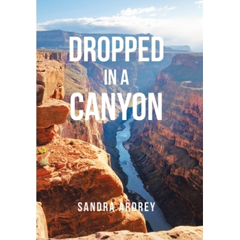 Dropped in a Canyon