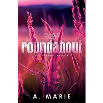 Roundabout Discreet Cover