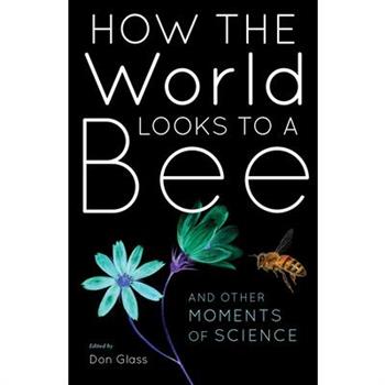 How the World Looks to a Bee