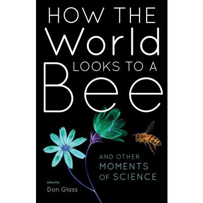 How the World Looks to a Bee