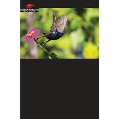 Micro-enterprise of Ancestral Clothing of Ecuador - Imbabura