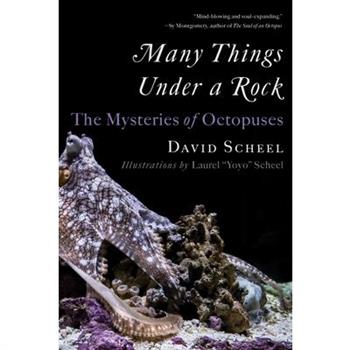 Many Things Under a Rock