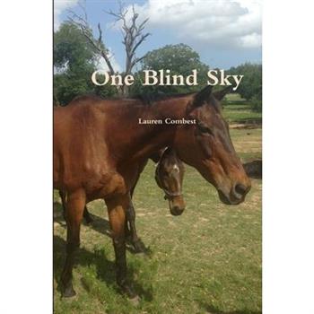 One Blind Sky