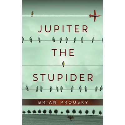 Jupiter the Stupider