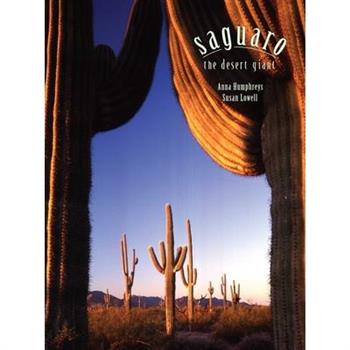 Saguaro