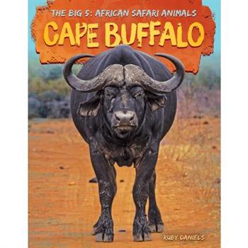 Cape Buffalo