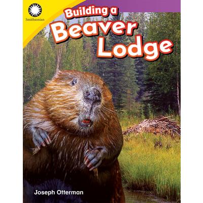 Building a beaver lodge