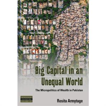 Big Capital in an Unequal World
