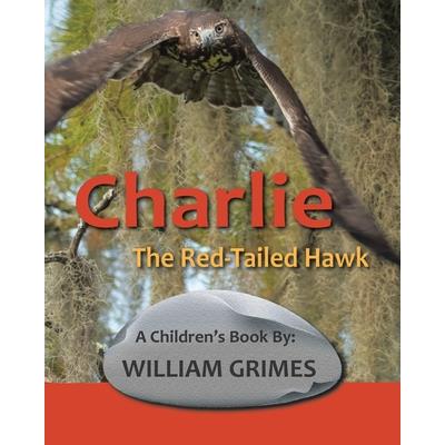 Charlie the Red-Tailed Hawk